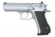 Magnum Research Baby Eagle 45ACP, Brushed Chrome, 10rd - MR4500RSC