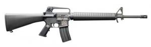 Bushmaster XM15A2 50th Anniversary .223 Remington Semi Auto Rifle - 0010050GLD