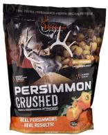 Persimmon Crush - FG-00422