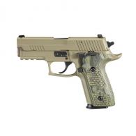 Sig Sauer LE P229 | FDE | Full Size - WE29R9SCPN
